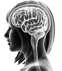 Picture of a person head with an xray view of their brain
